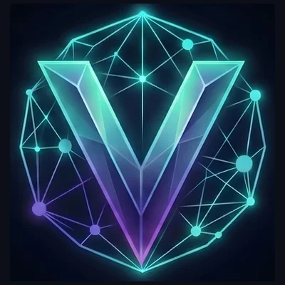 Vizy Report